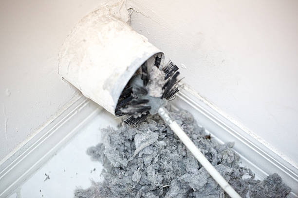 Best Ventilation Cleaning Services  in Louisville, CO